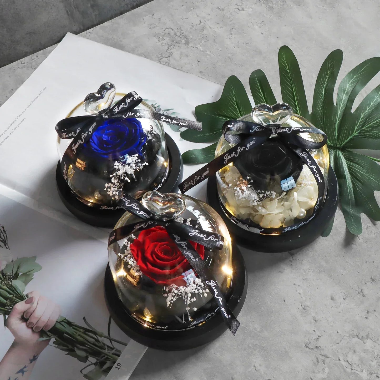 Forever Preserved Rose in Heart Glass Dome with LED Light for Valentine and Special Occasions
