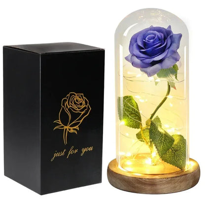 Acrylic Dome Eternal Rose Beauty Gift for Valentine