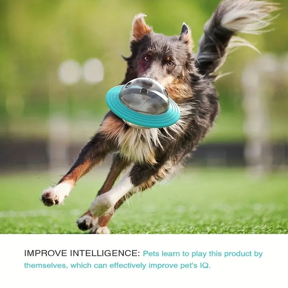 Dog Food Storage Toy