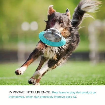 Dog Food Storage Toy
