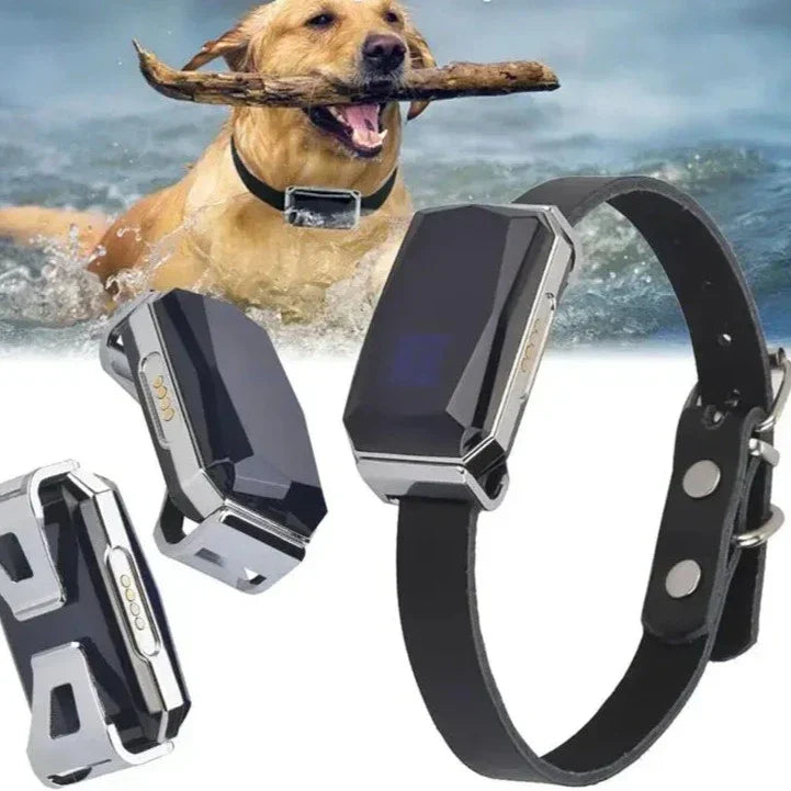 Smart Pet Tracker Collar With Sim Card Slot