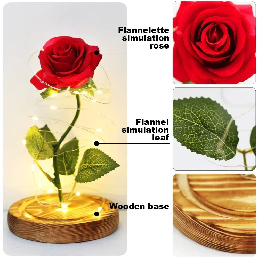 Acrylic Dome Eternal Rose Beauty Gift for Valentine