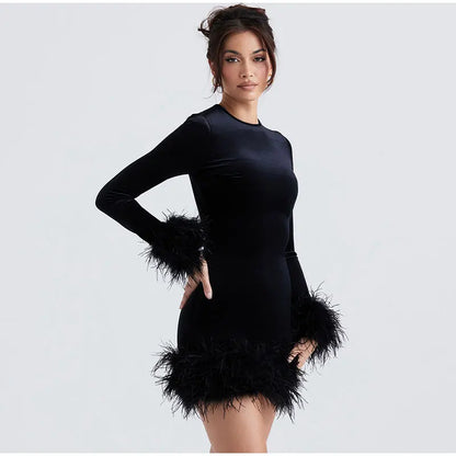 Velvet Long Sleeve Fur Trim Mini Dress