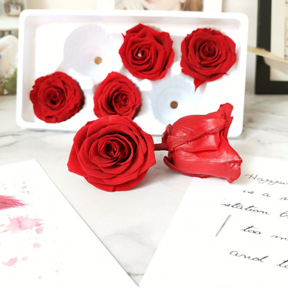 Luxury Preserved Eternal Rose Gift Box