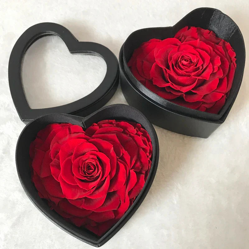 Luxury Preserved Eternal Rose Gift Box