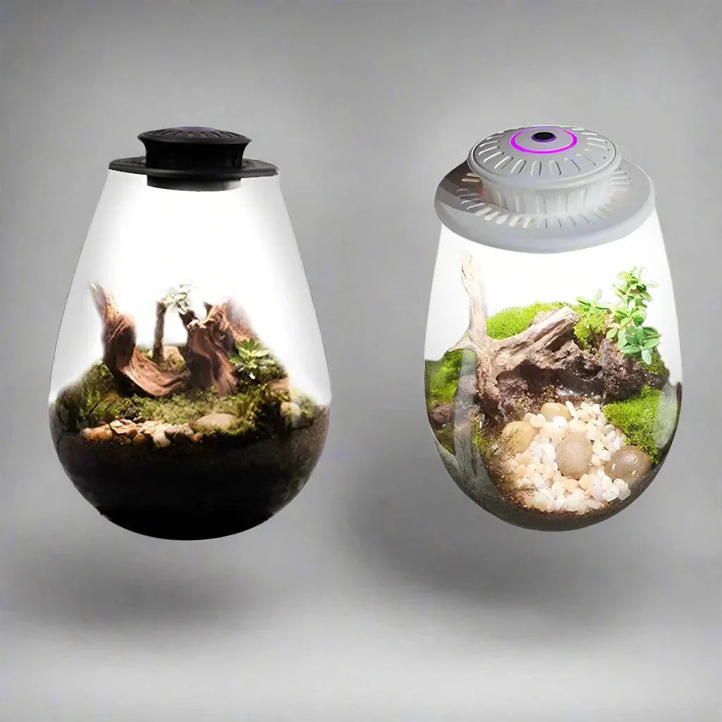 Glass Plant Terrarium With Grow Light