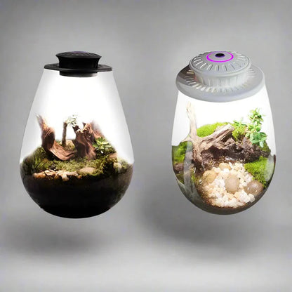 Glass Plant Terrarium With Grow Light