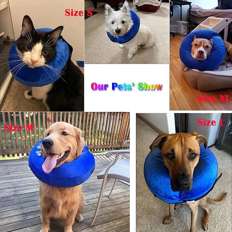Inflatable Pet Recovery Collar