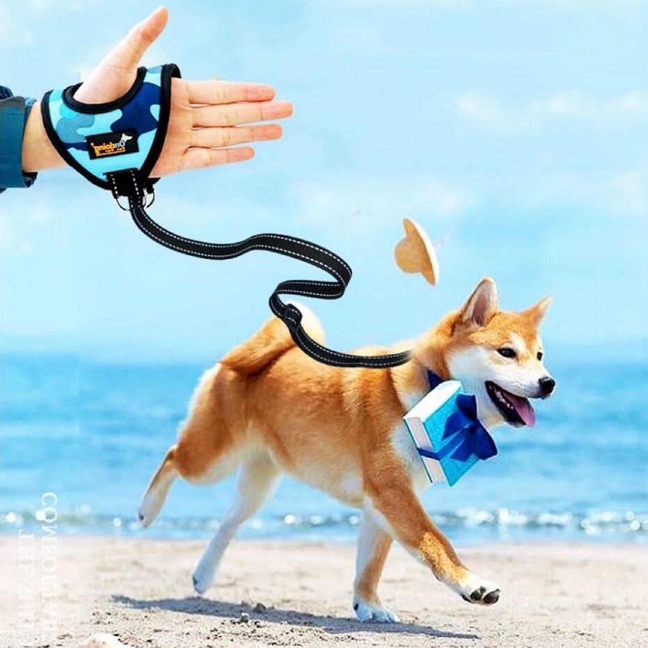 Hand Grip Leash