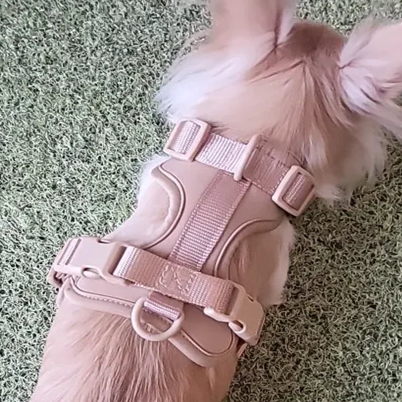 Light Pink Double Dog Leash Set - Adjustable PVC Harness
