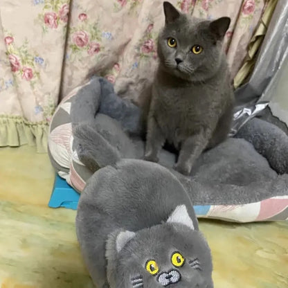 Cuddly Kitty Cat Slippers