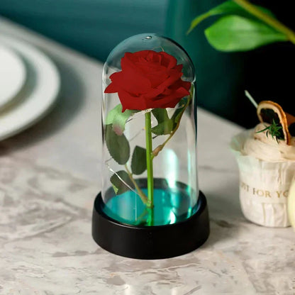 Eternal Rose in Glass Dome Decorative Flower Gift for Girlfriend