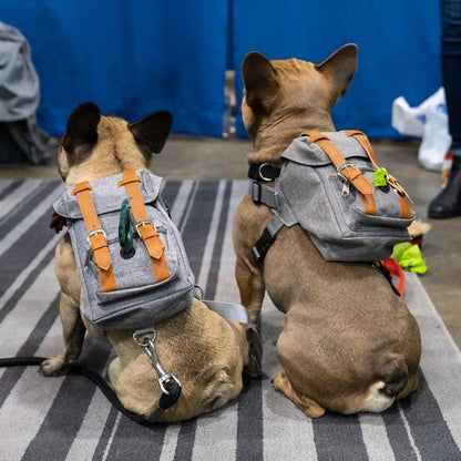 Small Dog Backpack Harness