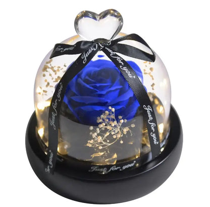 Forever Preserved Rose in Glass with Lamp for Valentine and Special Occasions