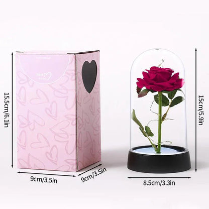 Enchanted Red Rose In Glass Dome