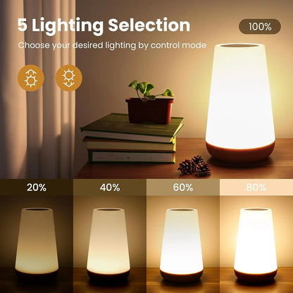 Touch Dimmable Lamp
