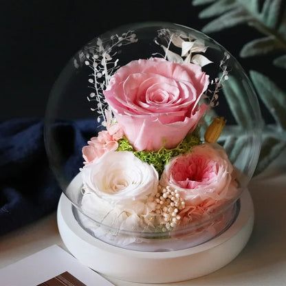 Preserved Red Rose and Carnation Dome with Wooden Base