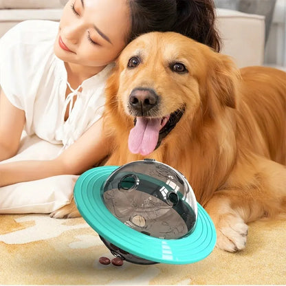 Dog Food Storage Toy