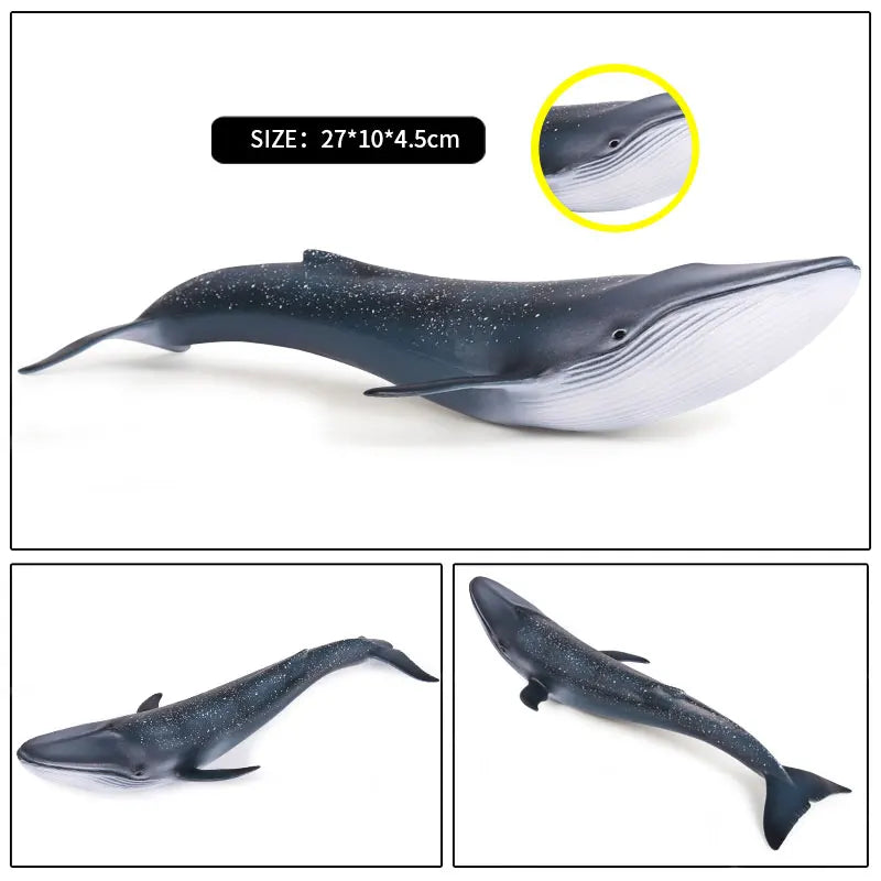 Ocean Animal Action Figures Sea Life Model