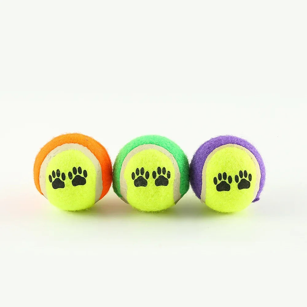 Dog Ball Launcher - Outdoor Interactive Training Toy