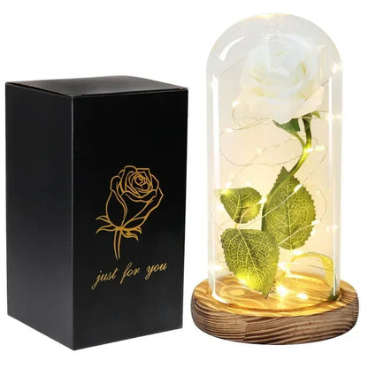 Acrylic Dome Eternal Rose Beauty Gift for Valentine