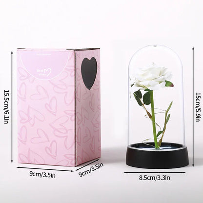 Eternal Rose in Glass Dome Handmade Artificial Flower for Gifts and Decoration