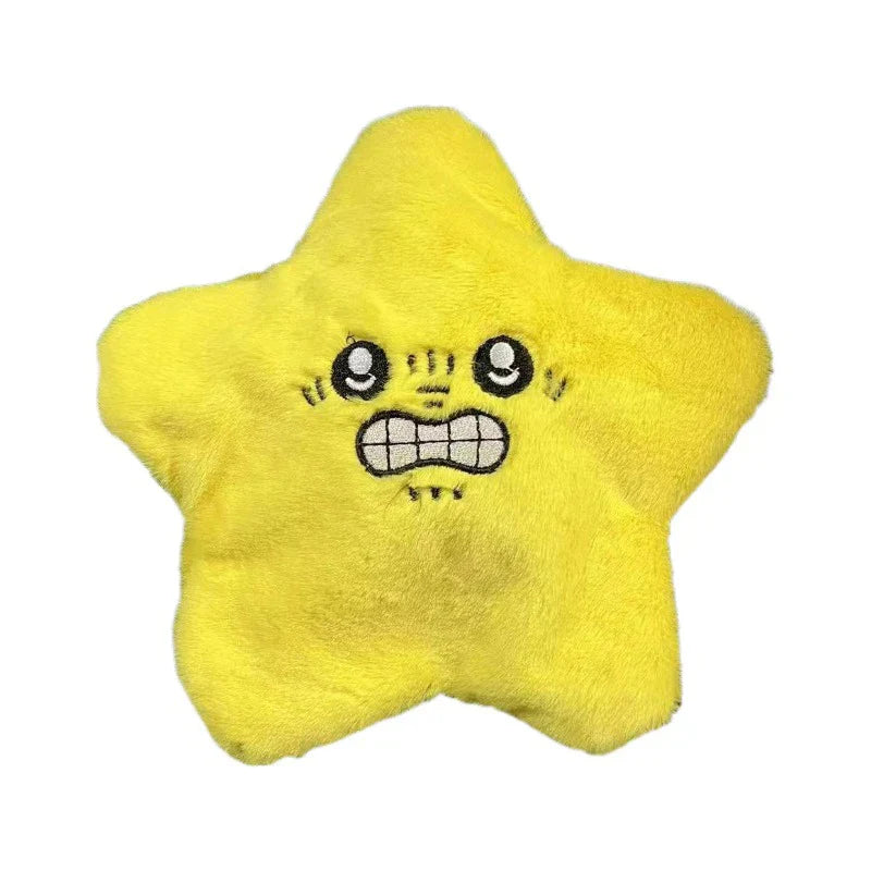 Cute and adorable stuffed star