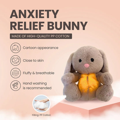 Sleepy Bunny Plush Toy