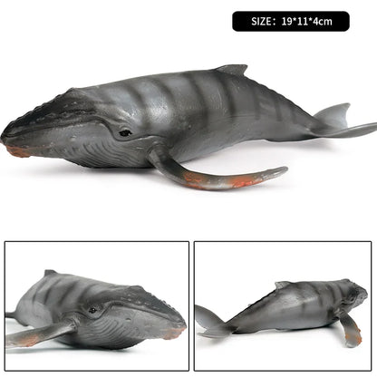 Ocean Animal Action Figures Sea Life Model