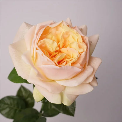 Real Touch Austin Latex Rose Bouquet Set of 5
