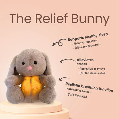 Sleepy Bunny Plush Toy