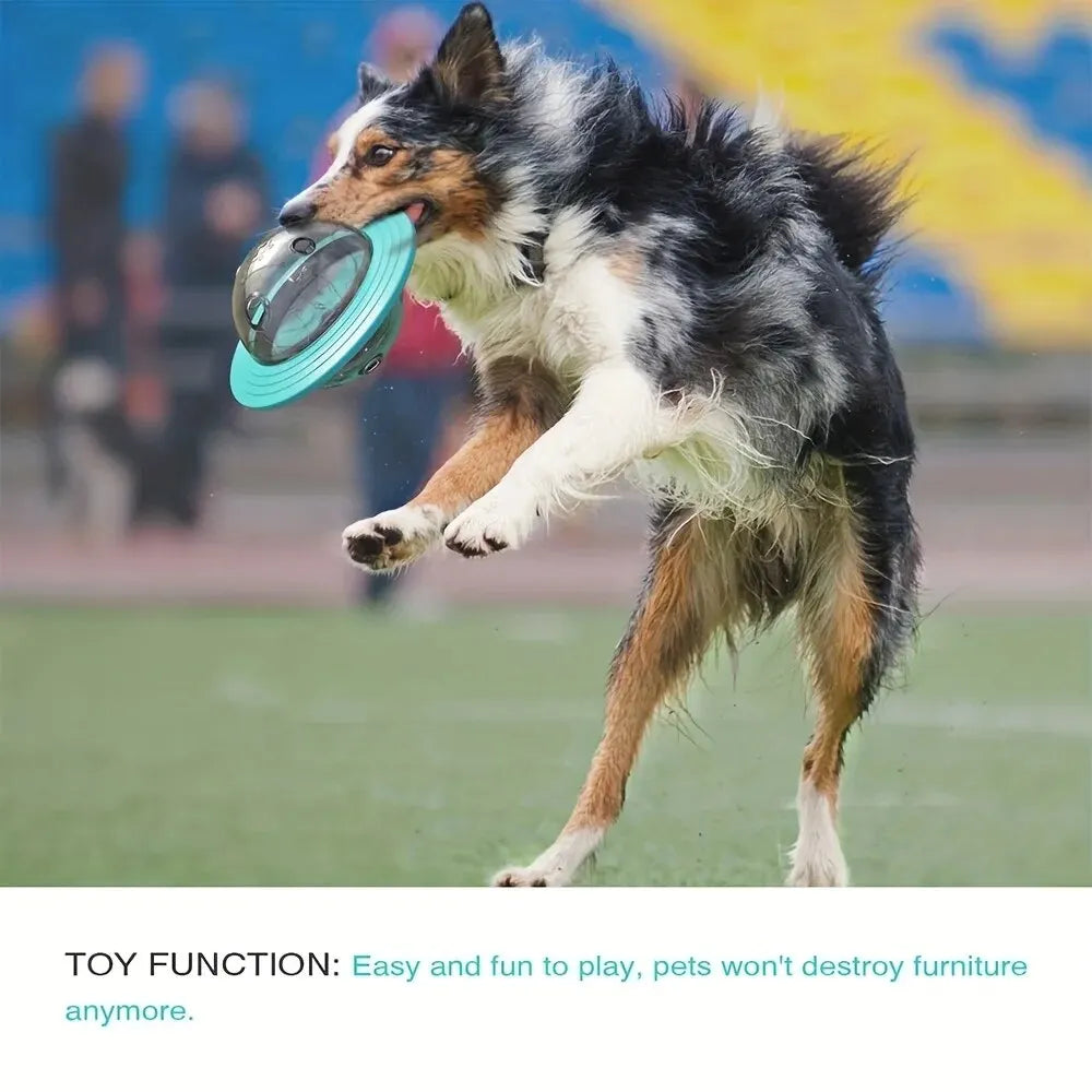 Dog Food Storage Toy