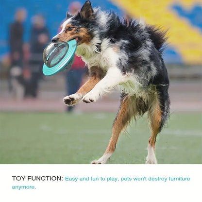 Dog Food Storage Toy