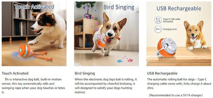 Smart Interactive Dog Toy Ball - Motion Activated Chew Toy