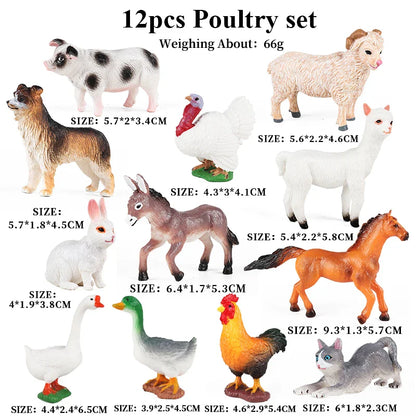 Montessori Miniature Lion Shark Horse Dinosaur Animals Model Set Action Figures