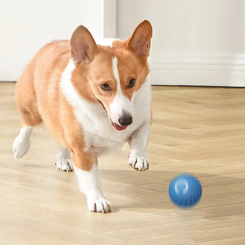 Rechargeable Intelligent Gravity Jump Ball for Dog Pets
