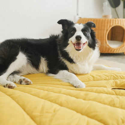 Leafy Pet Blanket