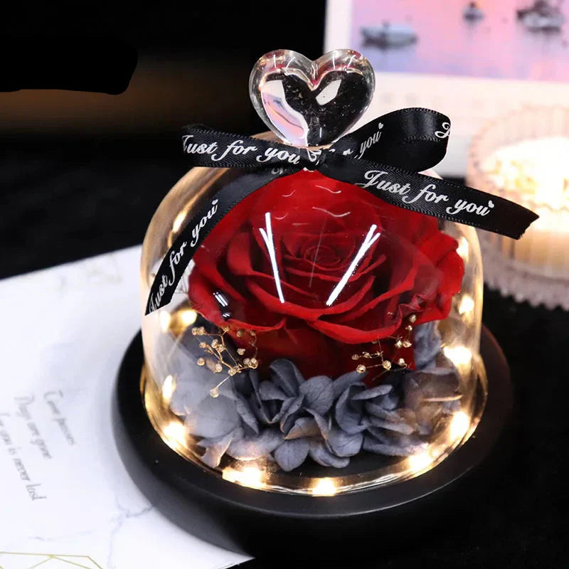 Forever Preserved Rose in Glass with Lamp for Valentine and Special Occasions