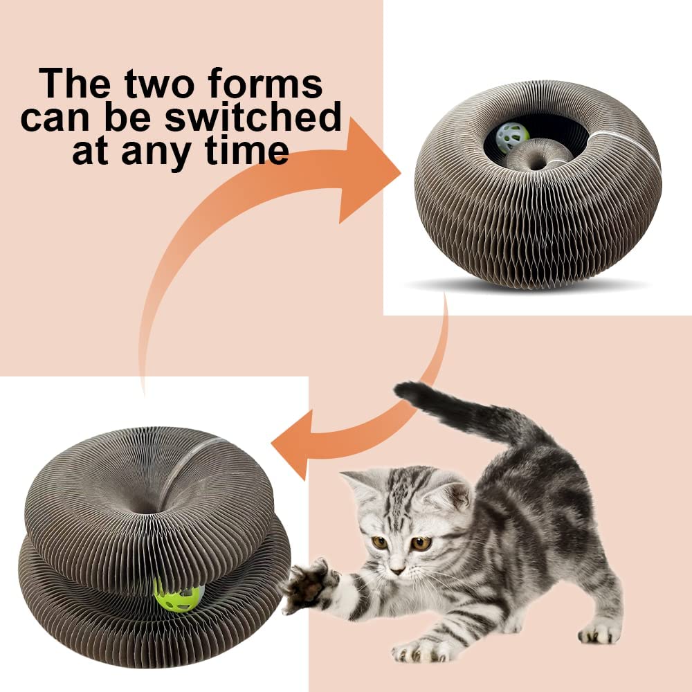 Magic Organ Cat Scratcher