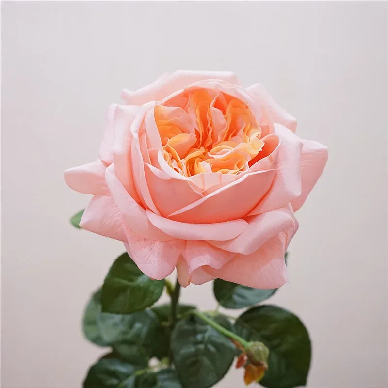 Real Touch Austin Latex Rose Bouquet Set of 5