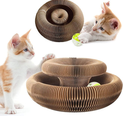 Magic Organ Cat Scratcher