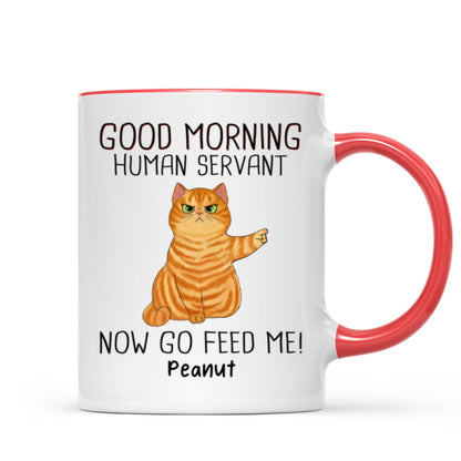 Happy Father's Day Good Morning Now Go Feed Me Grumpy Fluffy Cat Personalized Mug