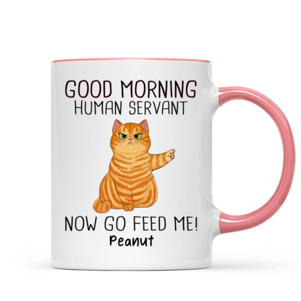 Happy Father's Day Good Morning Now Go Feed Me Grumpy Fluffy Cat Personalized Mug
