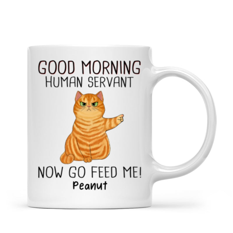 Happy Father's Day Good Morning Now Go Feed Me Grumpy Fluffy Cat Personalized Mug