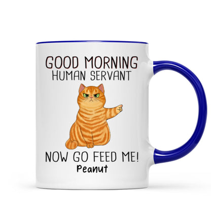 Happy Father's Day Good Morning Now Go Feed Me Grumpy Fluffy Cat Personalized Mug
