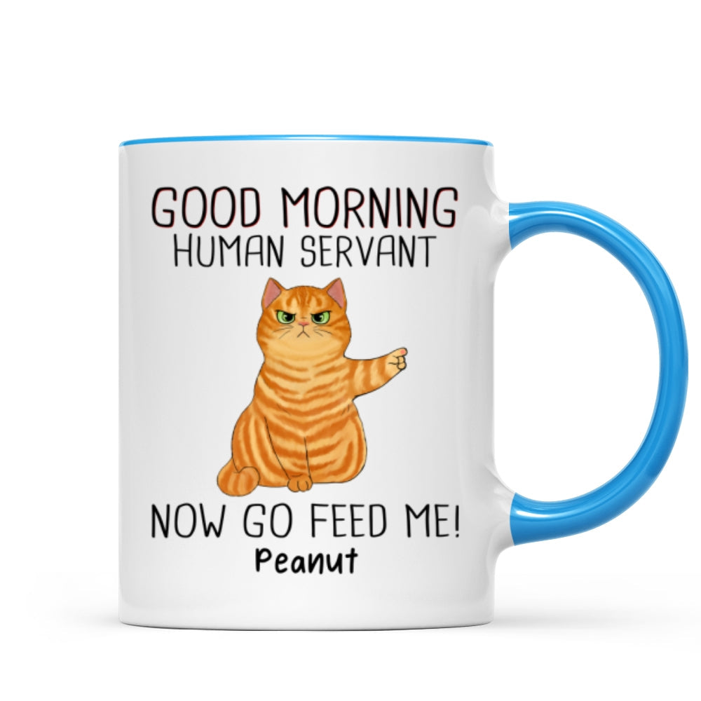Happy Father's Day Good Morning Now Go Feed Me Grumpy Fluffy Cat Personalized Mug