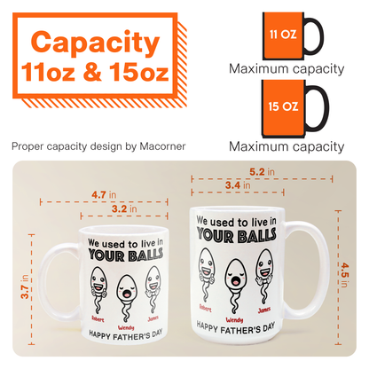 We Used To Live In Your Balls - Personalized Mug