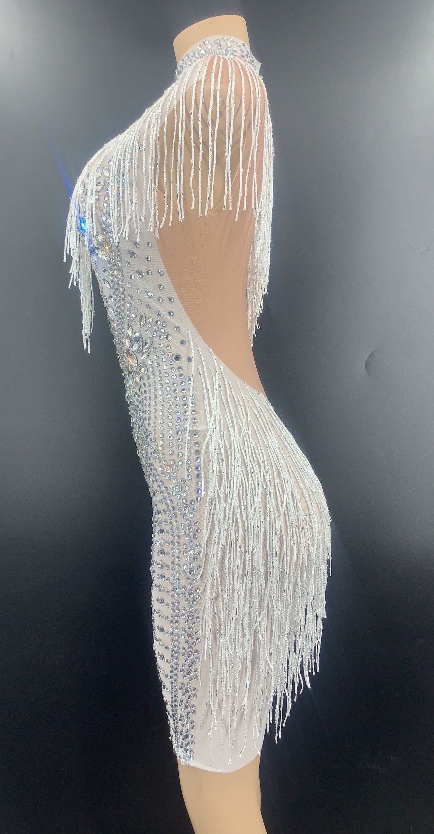 Rhinestone Tassel Mesh Mini Dresses