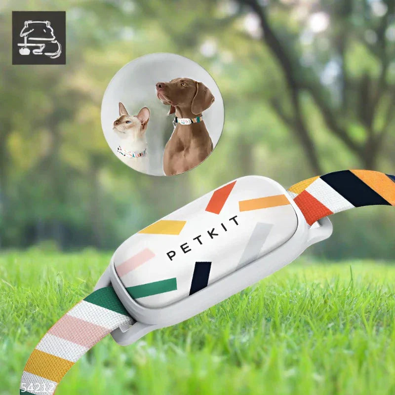 Smart Pet Collar With Tracking App