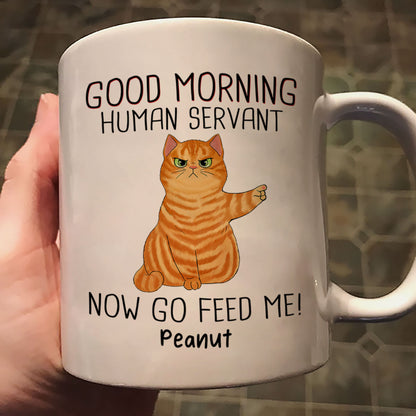 Happy Father's Day Good Morning Now Go Feed Me Grumpy Fluffy Cat Personalized Mug